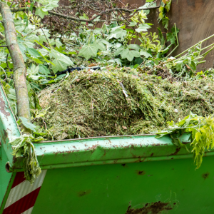 prořezávání zeleného odpadu garbage recovery recyklovat likvidaci